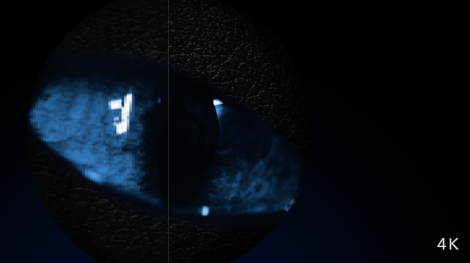 DNK-thumbnail